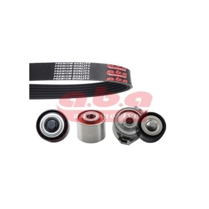 Peugeot DW8, alternator v kayışı kiti, 1613845780